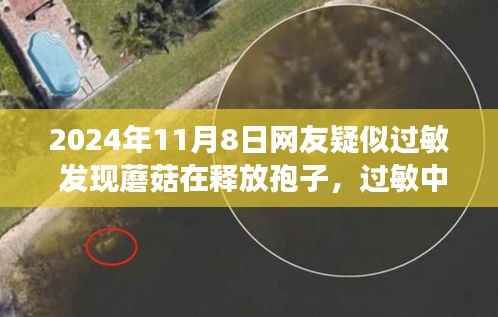 网友过敏遭遇启示,蘑菇孢子释放背后的成长与自信之路探索