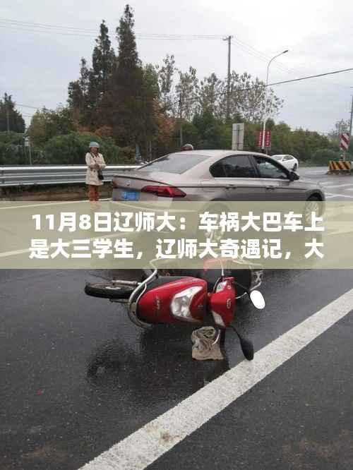 辽师大车祸事件,大三学生的大巴暖心历程