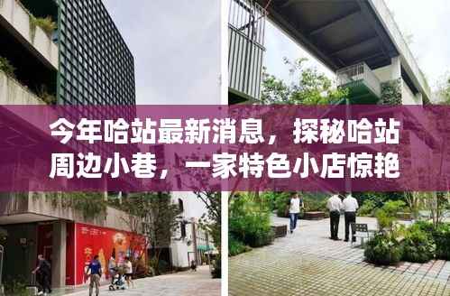 哈站周边小巷隐藏一家特色小店,独特环境惊艳亮相,等你来探秘!