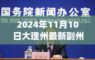大理州副州长名单背后的励志故事与变化力量,新篇章揭晓,励志故事与变化力量在副州长名单中展现的2024年大理州新篇章