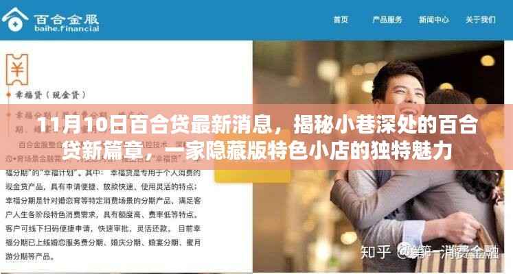 揭秘隐藏版特色小店,百合贷新篇章的独特魅力(最新消息)