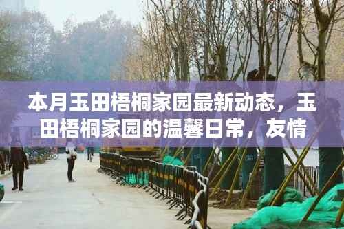 本月玉田梧桐家园最新动态,友情绽放与家的温馨日常