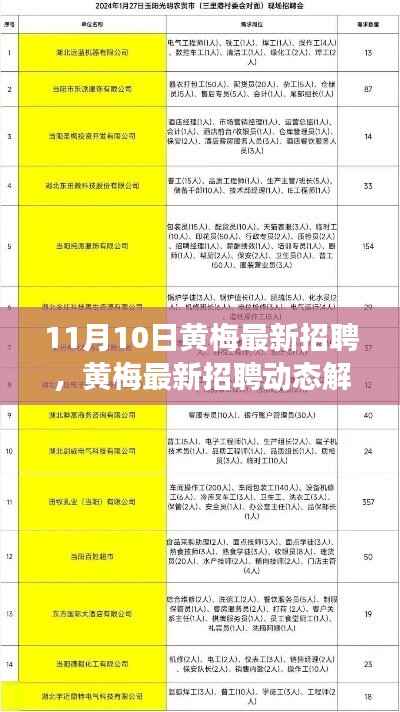 黄梅最新招聘动态解析，聚焦职场热点，把握未来趋势，引领行业风向标