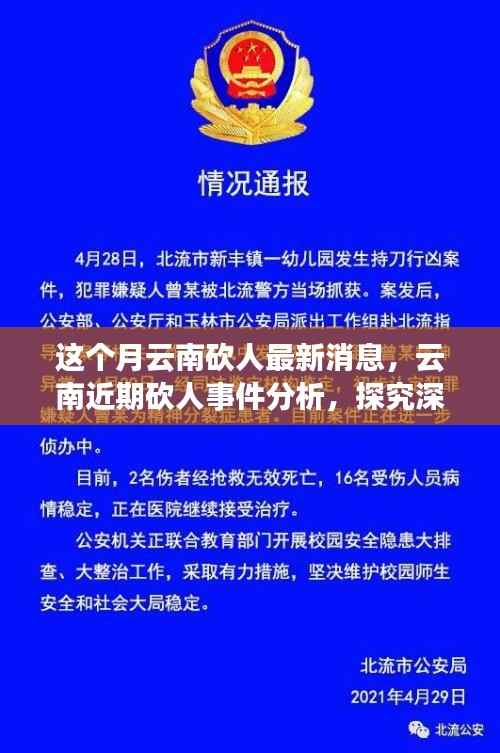 云南砍人事件最新消息,深层原因探究与各方观点分析