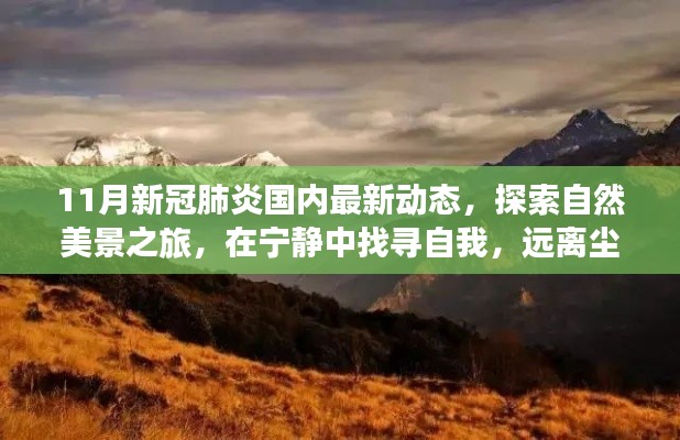 11月新冠肺炎国内最新动态,探索自然美景,宁静中找寻自我,迎接抗疫新篇章的旅行体验