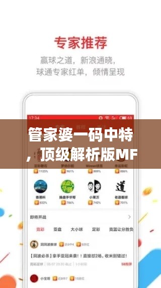 管家婆一码中特,顶级解析版MFX684.42公开解析