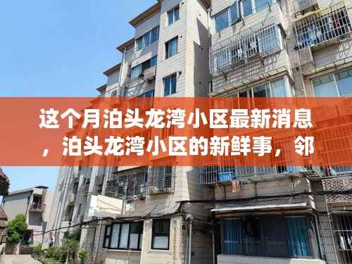 泊头龙湾小区本月新鲜事,邻里温情与欢乐日常