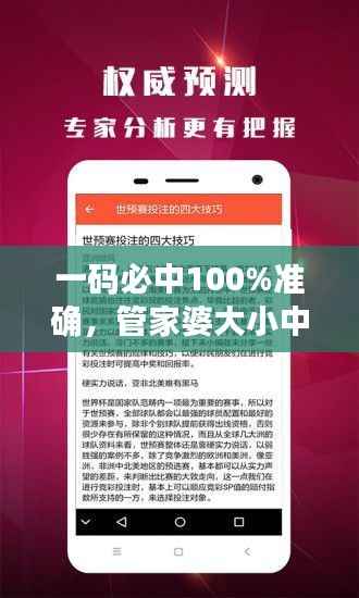 一码必中100%准确,管家婆大小中特解析,户外版ZNA113.77深度剖析