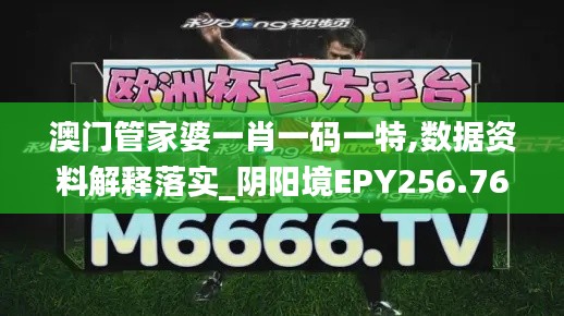 澳门管家婆一肖一码一特,数据资料解释落实_阴阳境EPY256.76