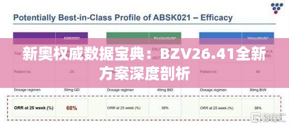 新奥权威数据宝典：BZV26.41全新方案深度剖析