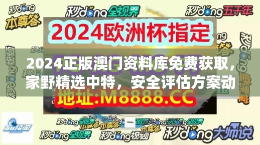2024正版澳门资料库免费获取,家野精选中特,安全评估方案动画版RQF945.86