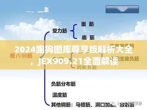 2024跑狗图库尊享版解析大全，JEX909.21全面解读