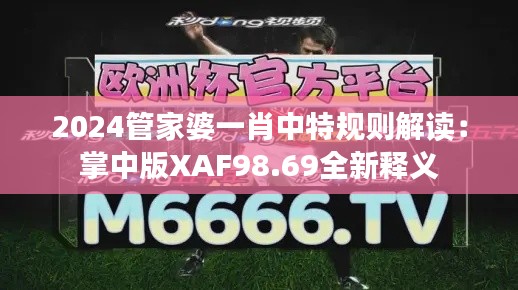 2024管家婆一肖中特规则解读:掌中版XAF98.69全新释义