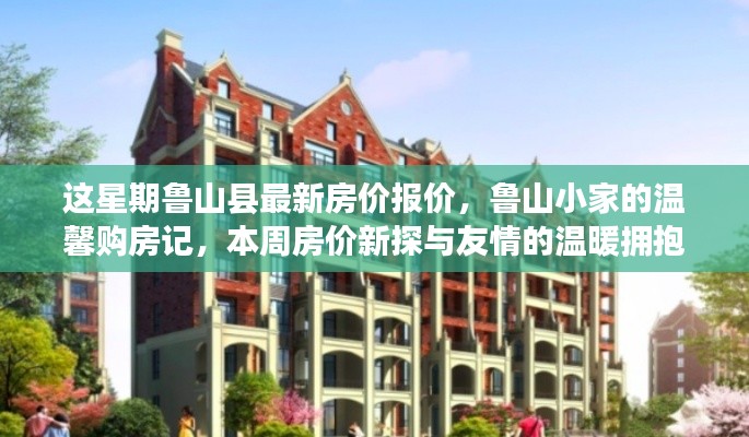 鲁山县最新房价周报,温馨购房记与友情相伴的房价新探