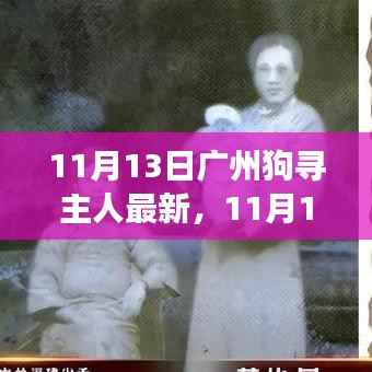 广州狗狗寻找主人最新进展，温暖重逢与寻宠路上的希望（11月13日更新）