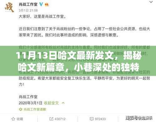 哈文揭秘隐藏版特色小店,小巷深处的独特风味等你来探秘