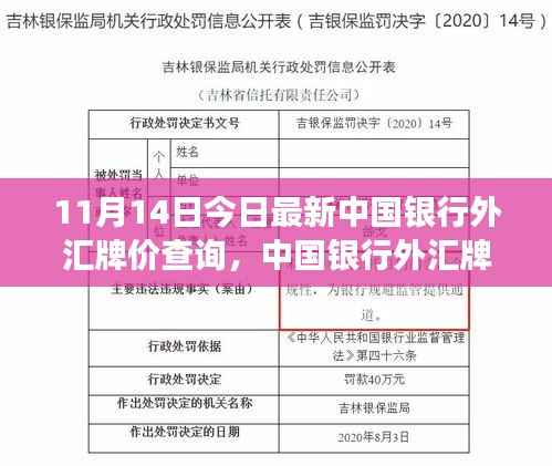 揭秘,中国银行最新外汇牌价动态及影响力解析(11月14日更新)