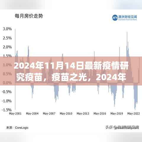 疫苗之光,探索之旅与希望之芽——2024年11月14日最新疫情研究疫苗纪实