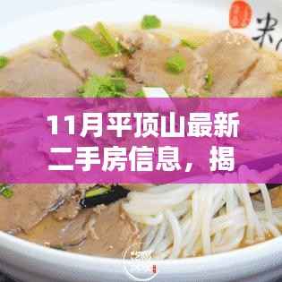 11月平顶山二手房信息及特色小店风情揭秘
