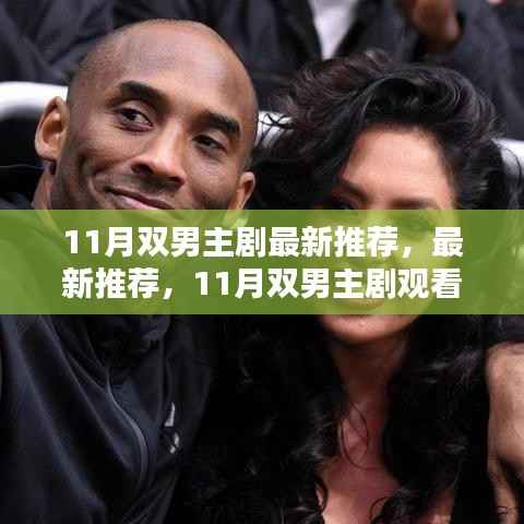 11月双男主剧最新推荐指南,挑选与欣赏的观看指南