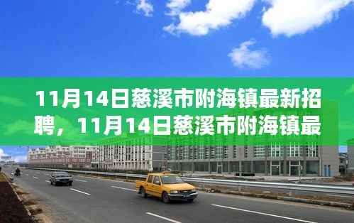 11月14日慈溪市附海镇最新招聘动态及职业机会解析