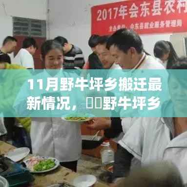 野牛坪乡搬迁最新动态,与自然共舞的新生活启程