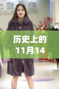 温馨探秘之旅,尚村水貂皮传奇与最新价格揭秘(历史篇)