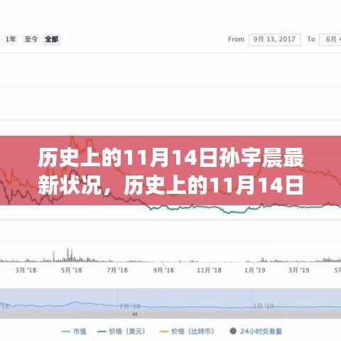 历史上的11月14日孙宇晨最新状况回顾与概览