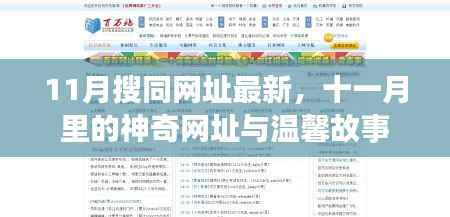 十一月搜同网址最新神奇链接与温馨故事一览