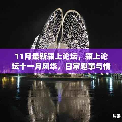 颍上论坛十一月风华,日常趣事与情感纽带
