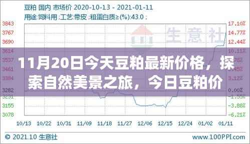 启程寻找内心平和，今日豆粕最新价格与自然美景之旅的宁静故事