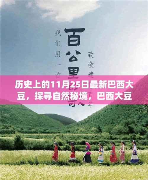 探寻自然秘境,巴西大豆与心灵之旅的交汇点——历史上的最新巴西大豆报道