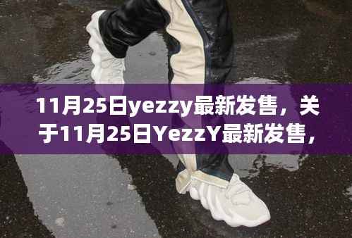 关于YezzY最新发售的市场影响力与个人观点分析,深度剖析市场影响力与个人观点洞察