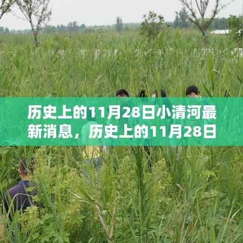 历史上的11月28日小清河全面评测介绍及最新消息速递