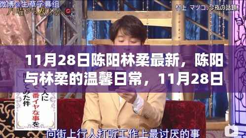 陈阳林柔的温馨日常，11月28日的快乐时光记录