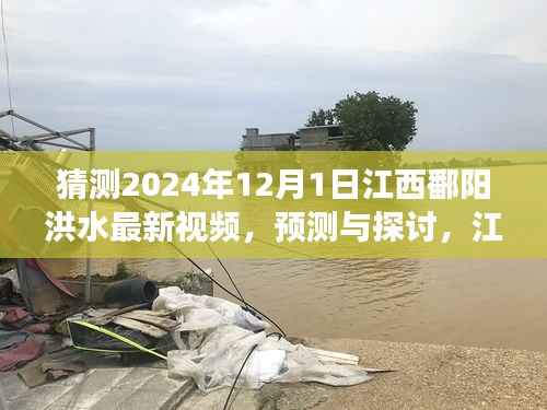 江西鄱阳湖区洪水现象观察与预测,聚焦2024年12月1日的最新视频探讨