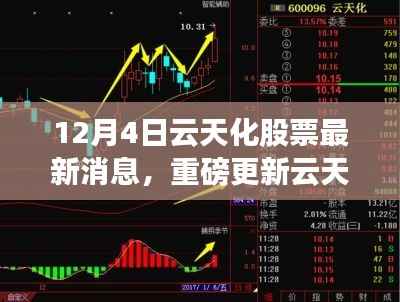 云天化股票最新动态揭秘，市场走势分析与前景展望（12月4日更新）