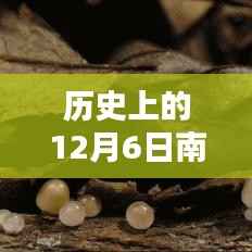 历史上的12月6日,南方日报深度揭示南北差异与观点碰撞