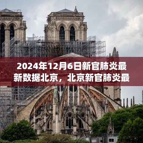 2024年12月6日北京新冠肺炎最新数据报告,回顾与展望