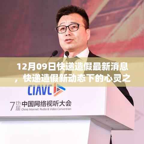 快递造假新动态下的心灵探寻,自然美景与内心平静的追寻