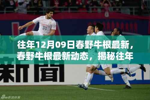 揭秘往年12月09日春野牛根最新动态与三大要点揭秘