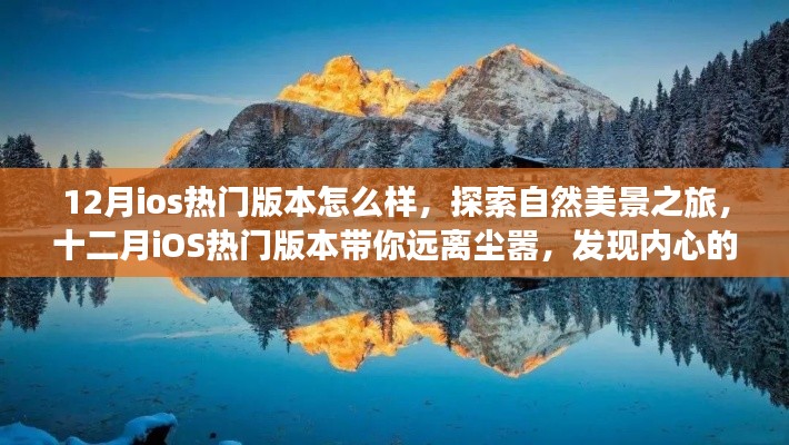 公司概况 第143页