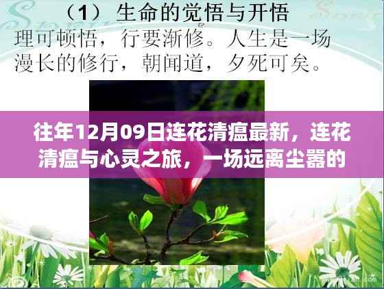 连花清瘟与心灵之旅,远离尘嚣的奇妙探险之旅