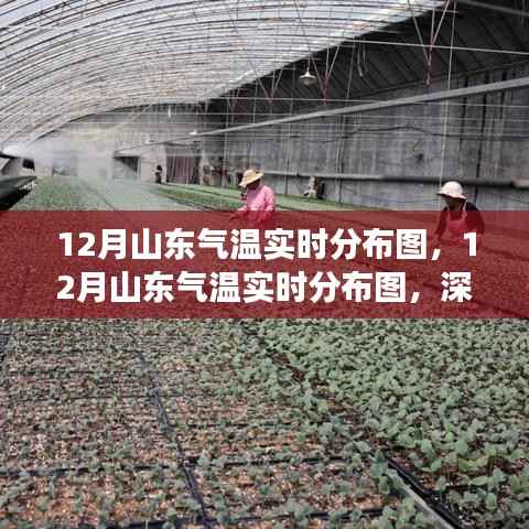 山东冬季气温深度解读,最新实时分布图揭示气温变化