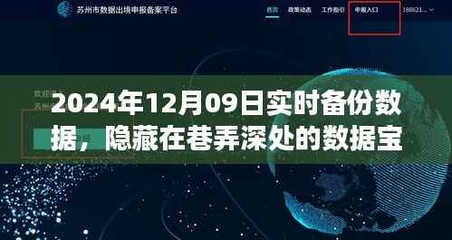 探索巷弄深处的数据宝藏，实时备份数据的奇幻之旅（2024年12月09日）