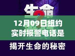 纽约实时报警电话背后的故事,变化、学习与自信的力量揭秘(附最新报警电话)