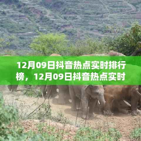 12月09日抖音热点实时排行榜深度解析,产品特性与体验全面探讨