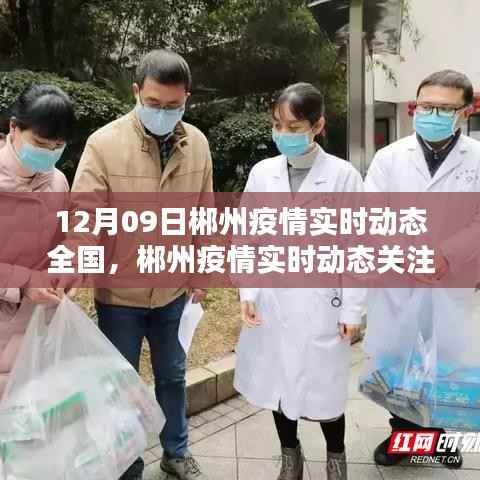 houniaonanfei 第3页