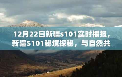 新疆S101秘境探秘，与自然共舞的日子实时播报（12月22日）