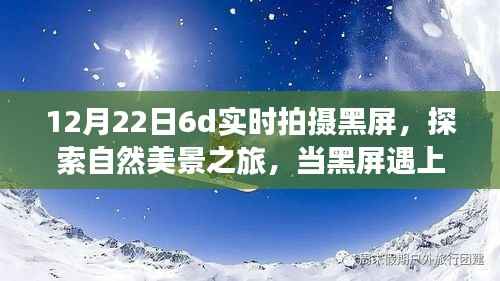 黑屏下的冬日自然探索,与自然美景共舞,寻找内心的宁静